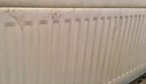 Radiator Before